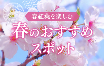 春紅葉を楽しむ 定山渓周辺 春のおすすめスポット