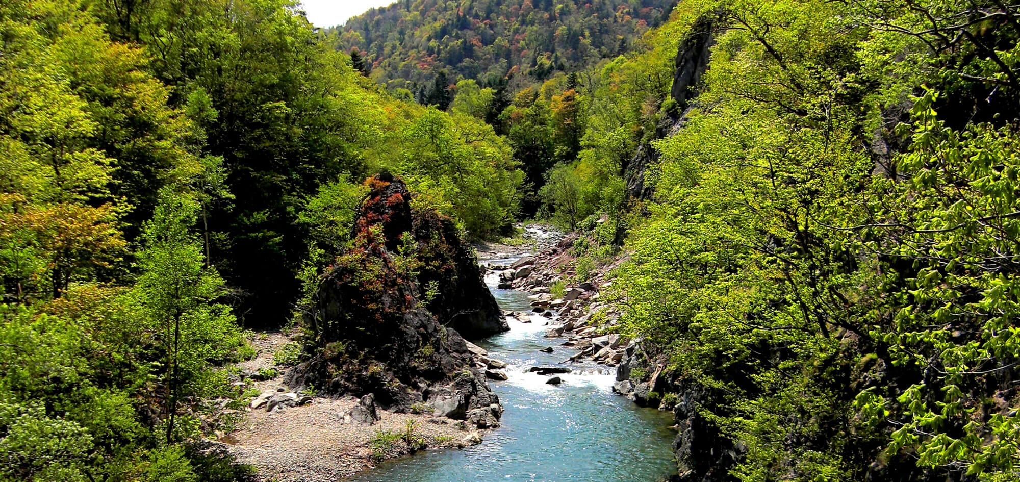 定山渓 夏のおすすめスポット